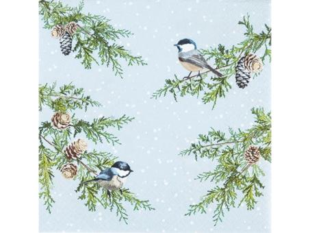 Servietten 33x33cm 20St 33X33cm