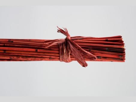 Pan Reed 80cm  400gr rot
!! Aktionsartikel- Kein Umtausch / Rückgabe möglich !! L80cm