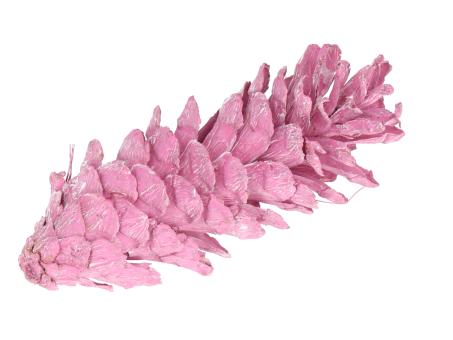 Zapfen Strobus 15-20cm rosa washed
 15-20cm