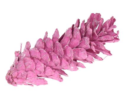 Zapfen Strobus 15-20cm brombeer washed
 15-20cm