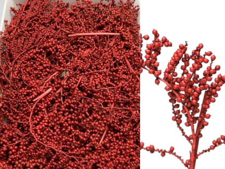 Canella medi gefärbt rot L20cm