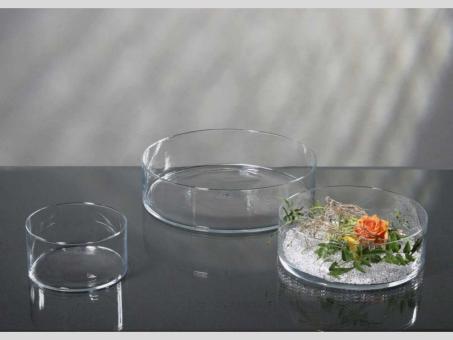 Schale Glas D30 H8,5cm  klar  D30 H8,5cm