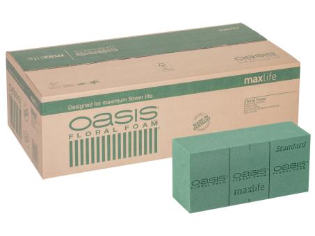 OASIS® STANDARD Steckziegel 35St L23 B11 H8cm