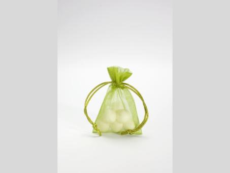 Beutel Organza H17 B12cm hellgrün 