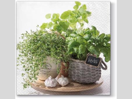 Servietten 33x33cm 20St   33x33cm