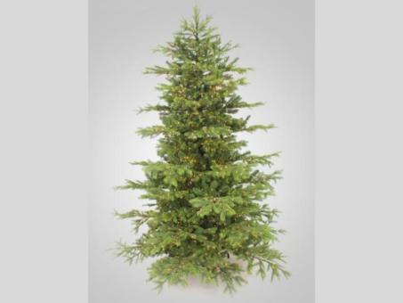 Tannenbaum Imperial m Beleuchtung 3900LEDs  H240cm