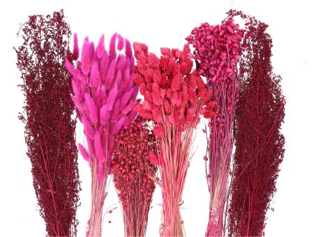 Gräsersortiment ca. 350gr pink L30-70cm