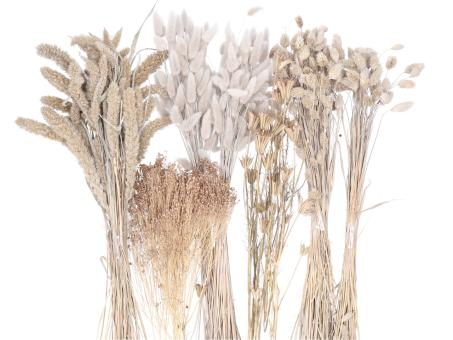 Gräsersortiment ca. 350gr taupe 