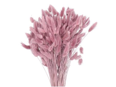 Lagurus ca. 100gr/Bd violett L50cm