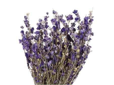 Rittersporn (Delphinium) 80gr/Bd naturblau   L55cm