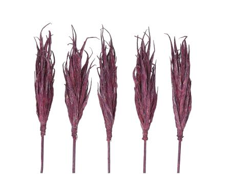 Lady Finger Possy a Stick brombeer washed L12 Stick 20cm