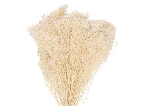 Broom Bloom gebleicht ca. 100gr/Bd   L50cm