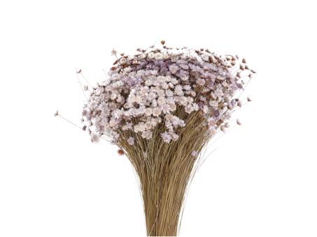 Glixia extra rosa hell ca. 100gr/Bd L40-50cm