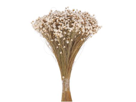 Glixia extra naturweiss ca. 100gr/Bd L40-50cm