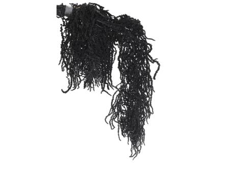 Amaranthus schwarz ca. 150gr/Bd L70cm