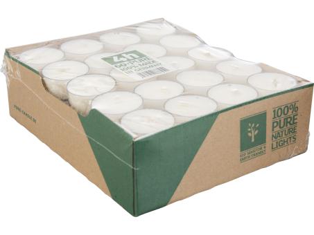 Teelichte Pure 100% Rapswachs transparente Recycling-Hülle 60St ca. 4 Std Brenndauer 