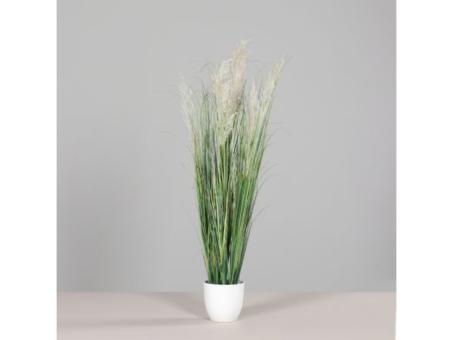 Gras mit Fruchtstamm i. weißem Kst-Topf H115cm  