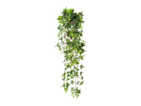 Efeu Pitsburgh Mini L90cm 371Blatt
 L90cm