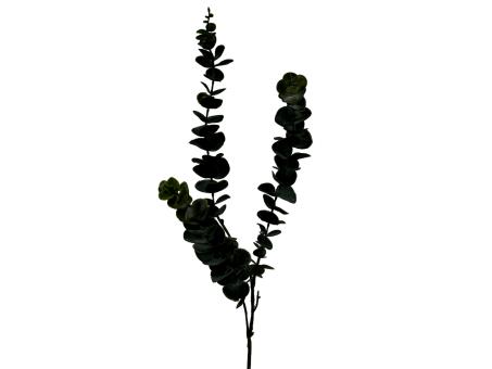 Zweig Eucalyptus L82cm schwarz L82cm