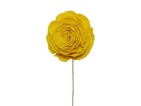 Rose Solablüte beauty 6cm gelb 