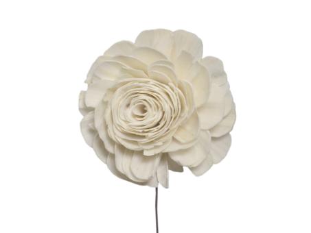 Rose Solablüte beauty 9cm natur D9cm