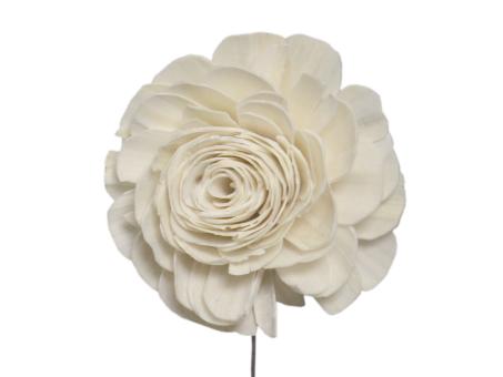 Rose Solablüte beauty 12cm natur D12cm