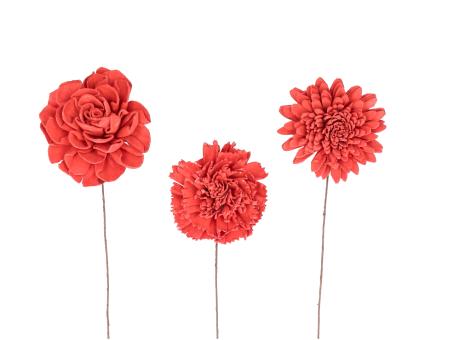 Blütensortiment Sola 3Mod (Dahlie, Nelke, Chrysantheme) rot 