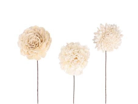 Blütensortiment Sola 3Mod (Dahlie, Nelke, Chrysantheme) natur 