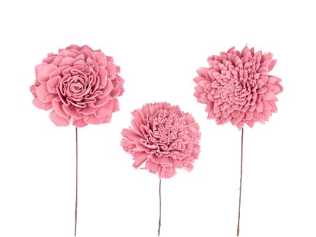 Blütensortiment Sola 3Mod (Dahlie, Nelke, Chrysantheme) rosa D9cm