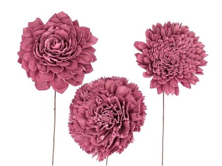 Blütensortiment Sola 3Mod (Dahlie, Nelke, Chrysantheme) brombeer D12cm