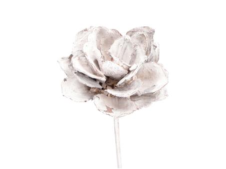 Montageblume Strobus white washed D6/8 Stab30cm