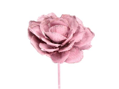 Montageblume Strobus rosa washed D6/8 Stab30cm