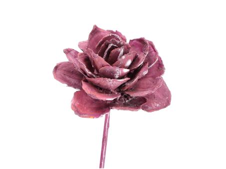 Montageblume Strobus brombeer washed D6/8 Stab30cm