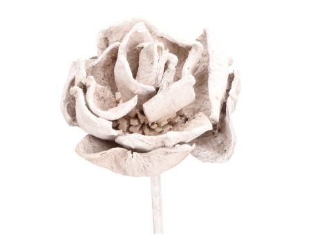 Montageblume Landlotos white washed D8/10 Stab30cm