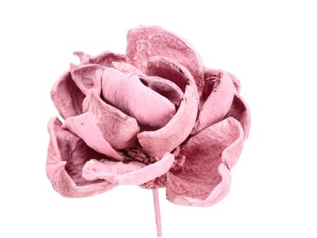 Montageblume Landlotos rosa washed D8/10 Stab30cm