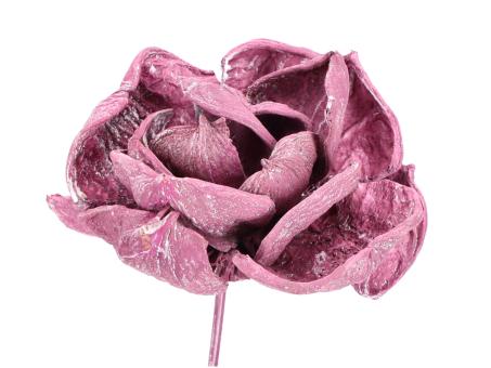 Montageblume Landlotos brombeer washed D8/10 Stab30cm