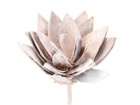 Montageblume Lily white washed D8/10 Stab30cm