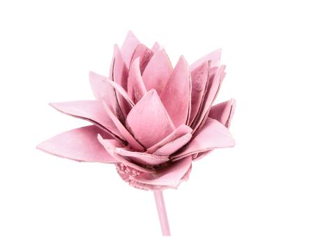 Montageblume Lily rosa washed D8/10 Stab30cm