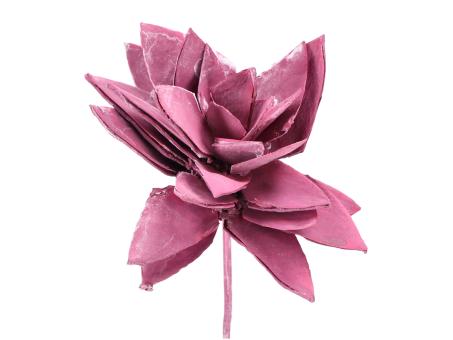 Montageblume Lily brombeer washed D8/10 Stab30cm