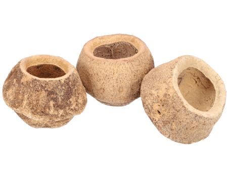 Sapucaia gross 6St natur