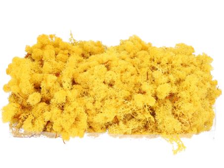 Islandmoos präp. 500gr gelb
 500gr