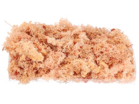 Islandmoos präp. 500gr koralle 500gr