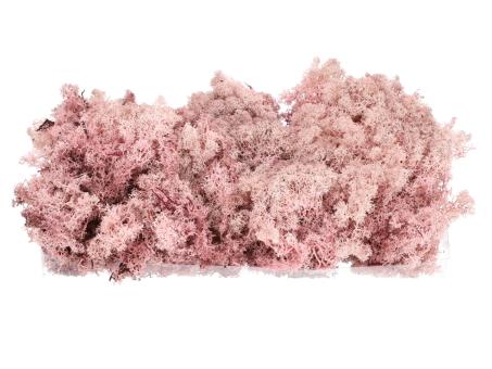 Islandmoos präp. 500gr rosa 500gr