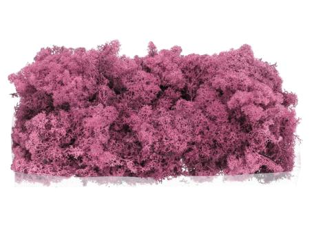 Islandmoos präp. 500gr mauve 500gr