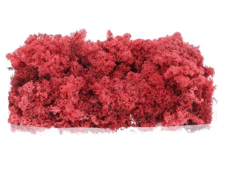 Islandmoos präp. 500gr bordo 500gr