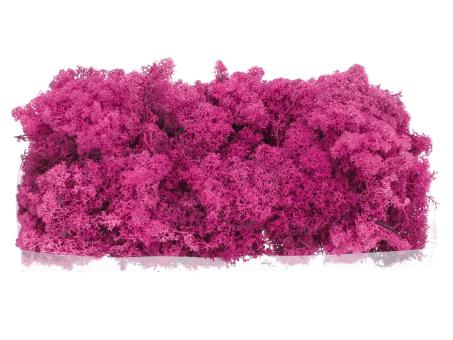 Islandmoos präp. 500gr cyclame 500gr