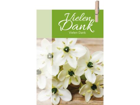 Klammerkarte Mini "VIELEN DANK" daily B52 H74mm