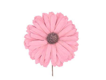 Gerbera Solablüte D12cm a Draht rosa D12cm