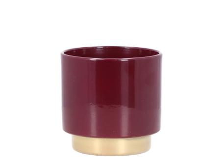 Kübel Bicolor D14cm brombeer gold  D14cm 