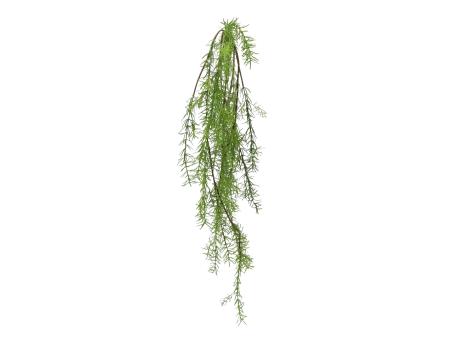 Pflanze Asparagus Sprengeri KST softtouch   L85cm